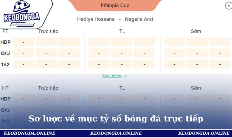 Sơ lược về mục tỷ số bóng đá trực tiếp